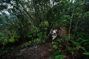 BIB: 
                            <button type="button" onclick="openModal(26196434)" class="btn btn-primary btn-sm float-right btn-popup" data-toggle="modal" data-target=".modal-high-quality">
                        <i class="fas fa-shopping-cart"></i> Add to Cart
                    </button>
                                            <button type="button" onclick="isThisMe(26196434, true)" class="btn btn-success btn-sm float-right btn-popup btn-isme hidden" data-toggle="tooltip" data-placement="bottom" title="นี่คือรูปของคุณใช่ไหม คลิกที่นี่เพื่อเอาเข้าอัลบั้ม">
                        <i class="fas fa-plus"></i> Add to album
                    </button>
                    <button type="button" onclick="isThisMe(26196434, false)" class="btn btn-warning btn-sm float-right btn-popup btn-isnotme hidden">
                        <i class="fas fa-ban"></i> Remove from album
                    </button>